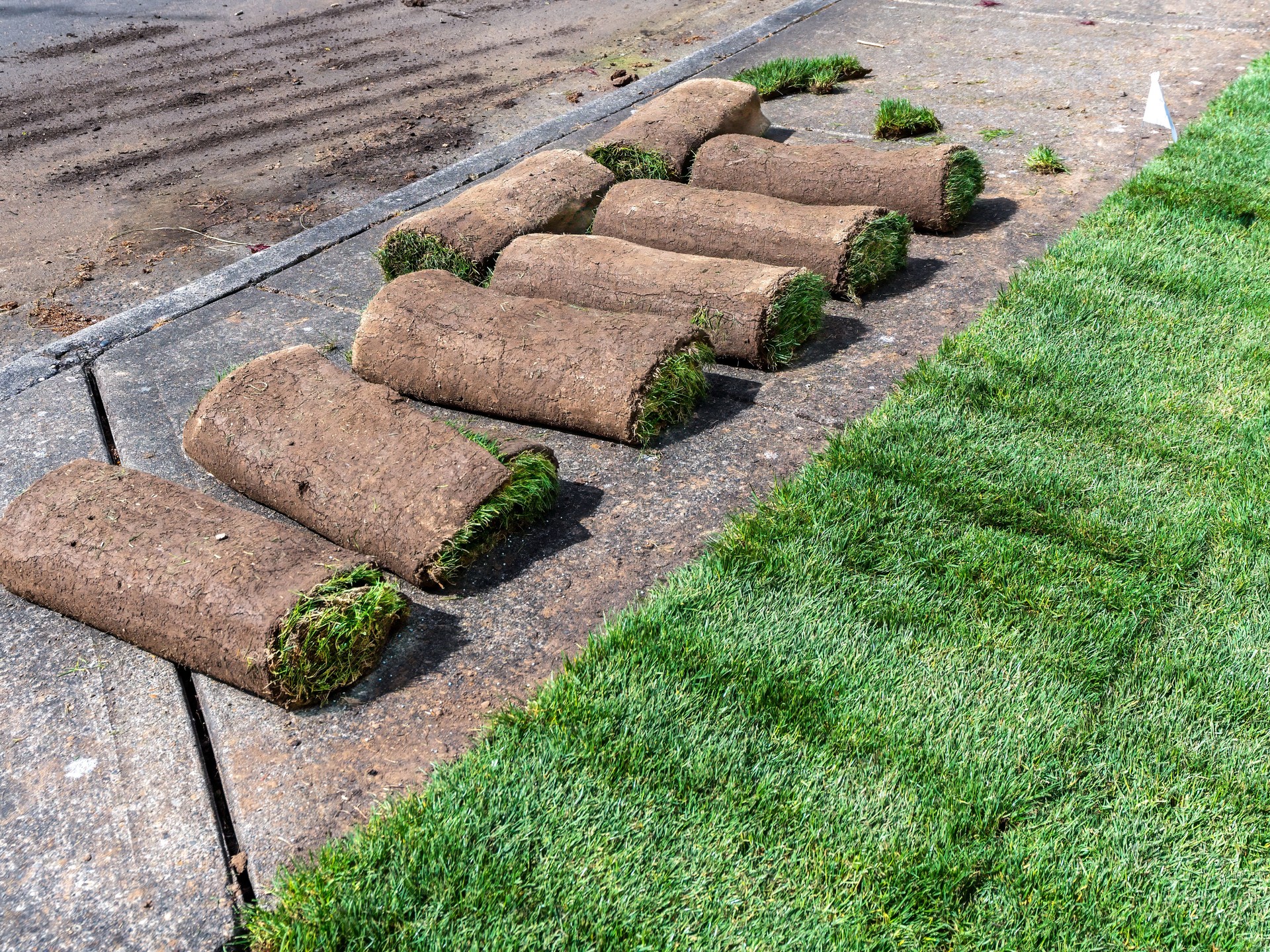 Rolls of Sod and Instant Green Lawn